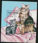 Cats Colorful Souvenir Sheet Nicargaua