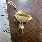 Foto 2 di 4