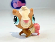 GUINEA PIG #3226 - Authentic Littlest Pet Shop - Hasbro LPS