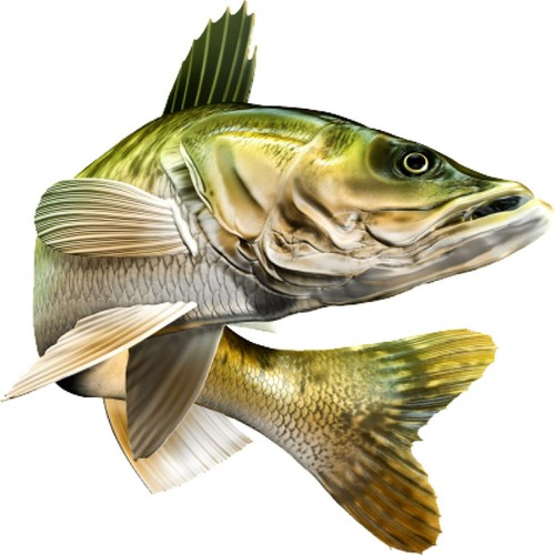 Walleye Beautiful Vinyl Sticker Fish Decals for Boat Car Vehicle Truck Fishing - Bild 2 von 13