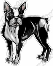 Boston Terrier Standing Dog Pet Car Bumper Window Vinyl Sticker Decal 4"X5"