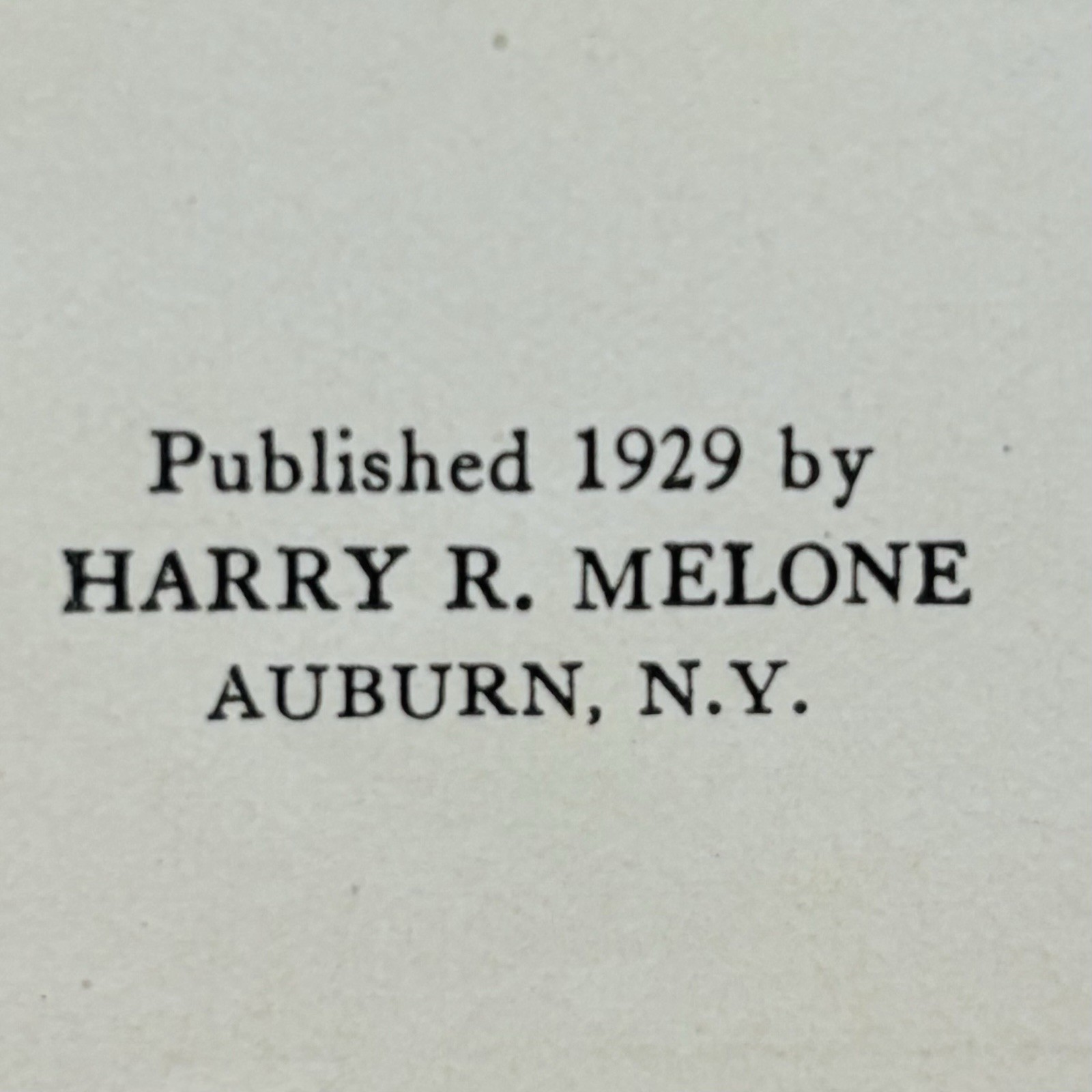 RARE 1st Ed Vtg AUBURN NY Finger Lakes History Air Ship SULLIVAN  CAMPAIGN 1929