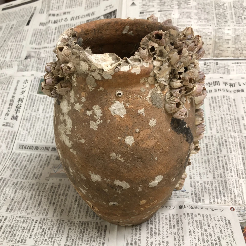 TAKOTSUBO Trampa Pulpo Cerámica Japonesa De Colección Con Ornamento de Barnacles Interior Foto 2 de 4