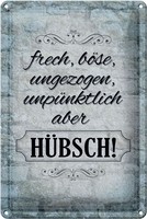 Schild Blech 20X30Cm - Made In Germany - Spruch Frech BöSe Ungezogen Aber HüBsch