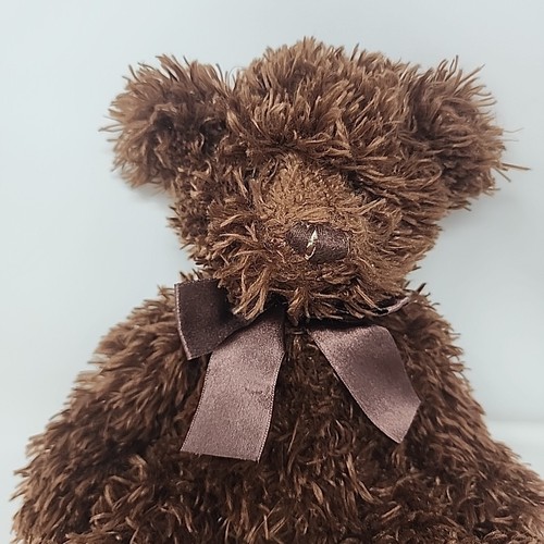 Target Dark Chocolate Brown Shaggy Teddy Bear Bow Plush 13" Stuffed Animal - 第 3/5 張圖片