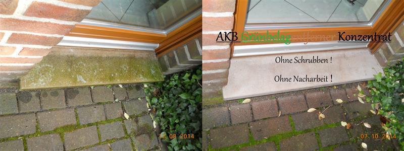 Bild 3 von 8