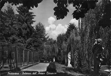 24-56E) CARTOLINA PEDAVENA INTERNO DEL PARCO BIRRERIA VIAGGIATA BELLUNO