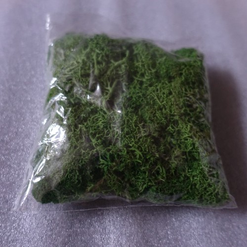 Artificial Green Moss Micro Landscape Fake Moss Garden Crafts Home Decor 40g Bag - Picture 2 of 6