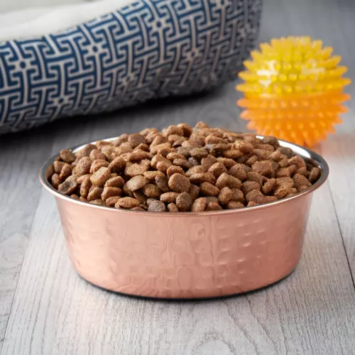Vibrant life sales pet bowl