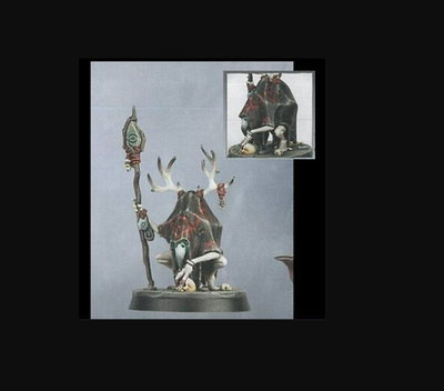 Warhammer Darkoath Sorcerer Hero Broken Nadja Slaves to Darkness