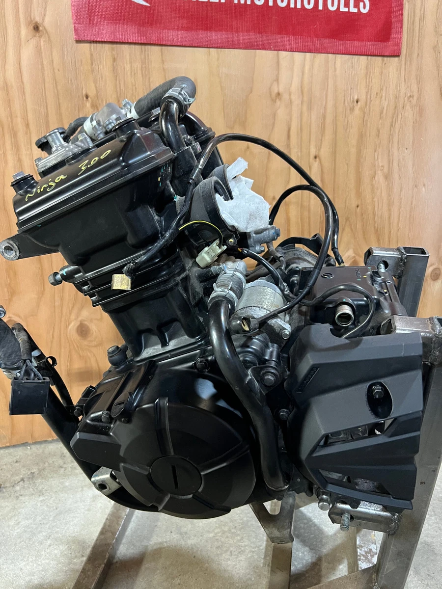 Kawasaki ninja 2024 300 motor
