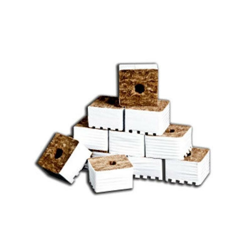 50x Speedgrow Green Kulturblock 7,5 x 7,5 x 6,5 cm großes Loch 38/35 mm Grow