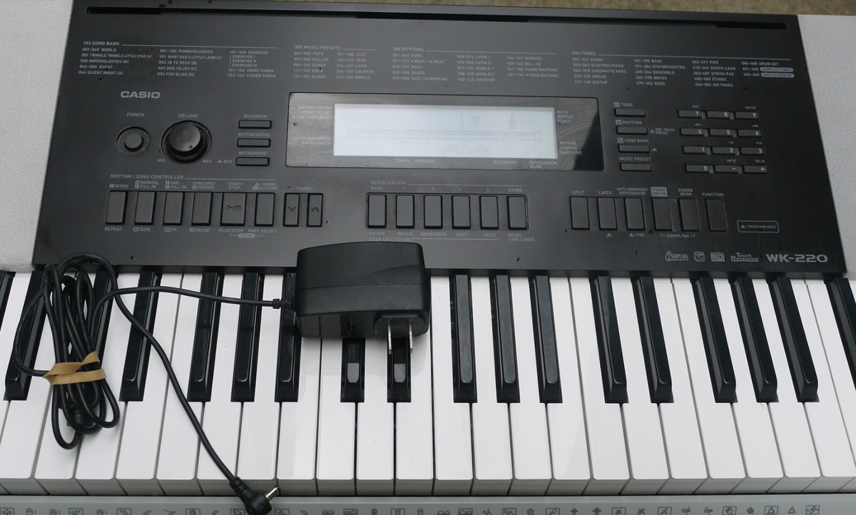 Casio Wk-220 Keyboard Electric Piano Portable Stand Power