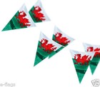 Rugby 6 Nations Huge 100FT Cymru Wales Welsh Triangle Flag Party Bunting