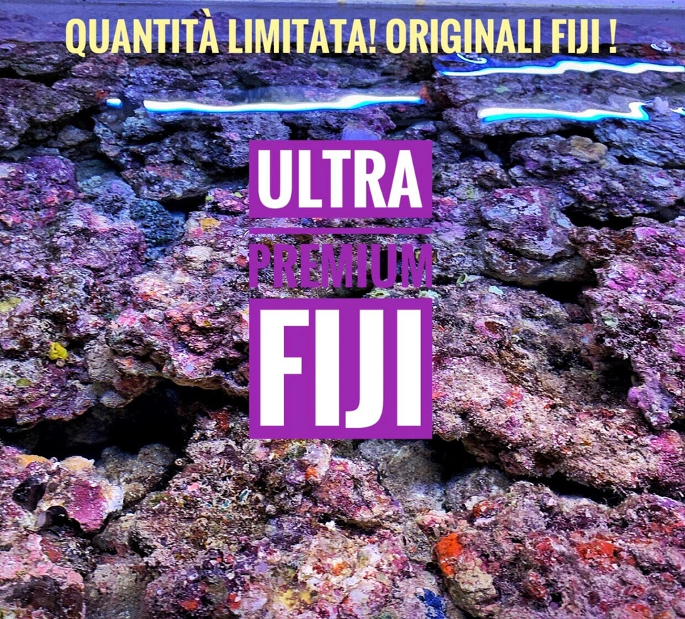 ✅NEW! Rocce Vive ORIGINALI FIJI Qualità ULTRA Premium Acquario marino Tropicale - Immagine 4 di 4