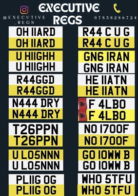 private registration +  plates