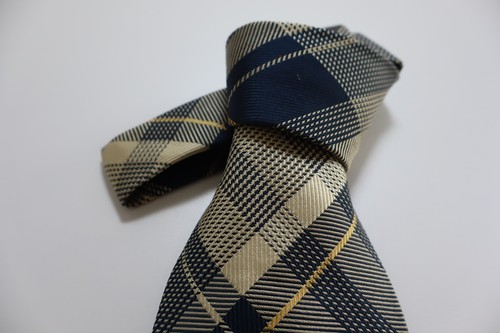 BIAGIOTTI 100% Silk Tie Necktie Made IN Italy - Picture 3 of 6