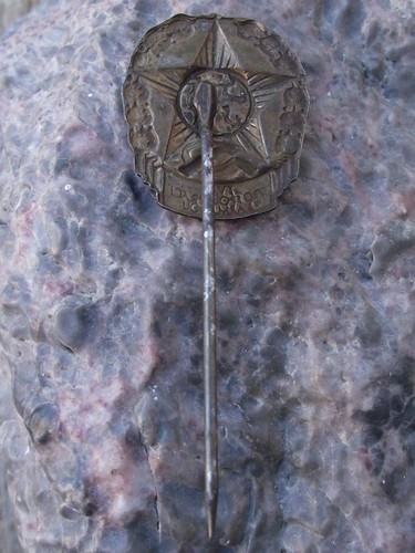 Vintage Svazarm Czechoslovakia Military Army Reserves Lion Star Emblem Pin Badge - Picture 2 of 4