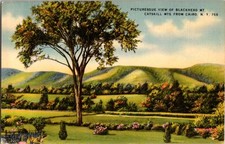 Cairo New York NY : MOUNTAIN SCENE f/07 BA2095