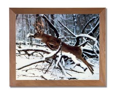 Whitetail Buck Deer Antler Jumping Tree Wall Picture Honey Framed Art Print