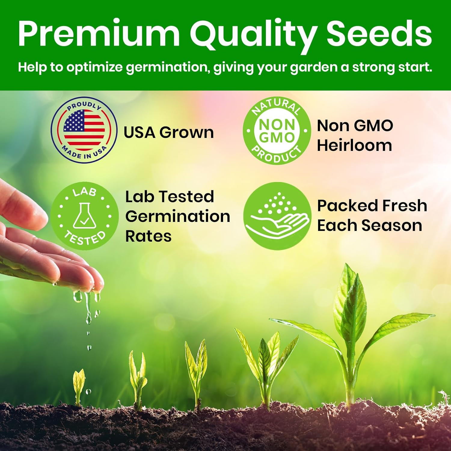 Cat Grass Seeds & Catnip Seeds - 3 Pack Variety Kit, Cat Grass for Indoor Cats, 