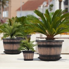 3 Oak Whisky Barrel Planters - Decorative Lid & Drain Holes Included 3 Oak Whisky Barrel Planters - Decorative Lid & Drain Holes Included - Image 1
