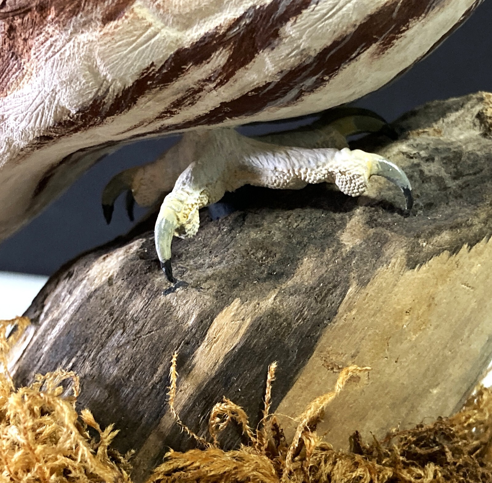 BLIND AWARD-WINNING MASTER CARVER Terry Matzke 7.5" Ferruginous Pygmy Owl