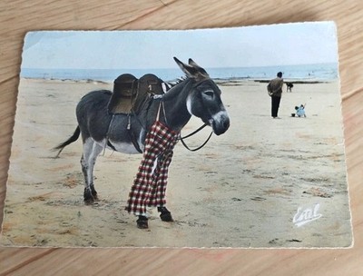 17.   L Ile de RE ANE EN CULOTTE Editions Estel