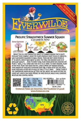 40 Prolific Straightneck Summer Squash Seeds - Everwilde Farms Mylar Seed Packet - Picture 2 of 3