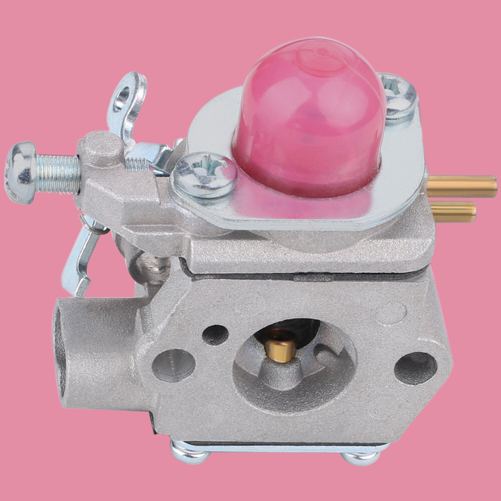 Sostituzioni Carburatore Per Murray M2560 MS2550 Italia