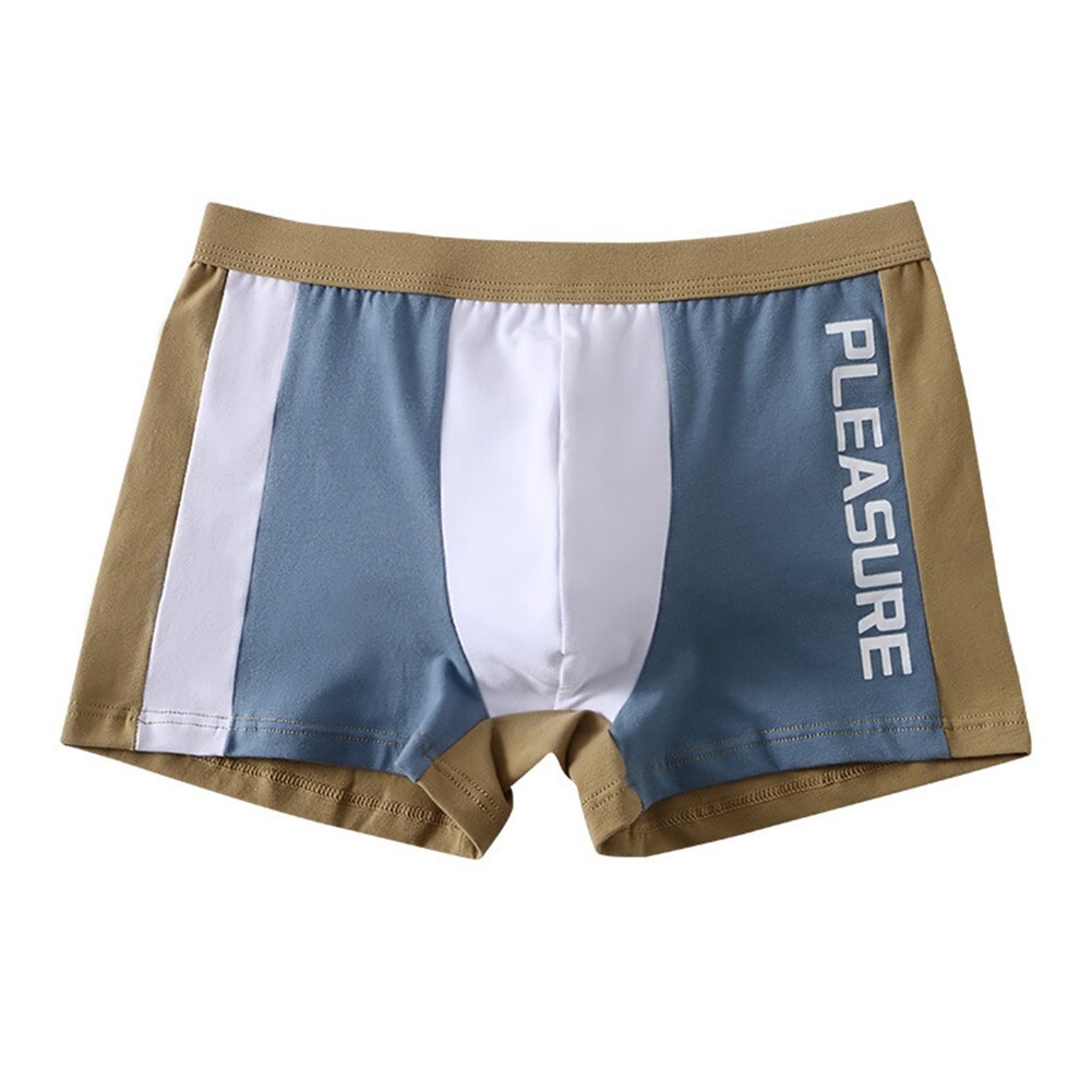 Boxer homme haut de gamme coton slips sousvêtements sexy taille basse