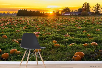 3D Pumpkin Field Sunset Landscape Self-adhesive Removable Wallpaper Murals