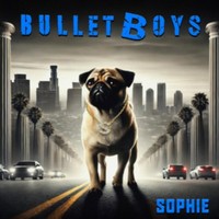 Bullet Boys - Sophie - Vinyl Record Lp - G4Z