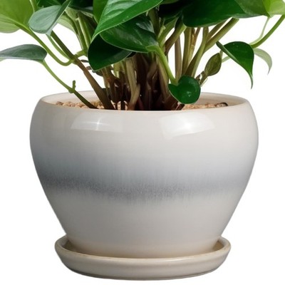 Ceramicfor Planter Pot 6 Inch  Ceramic Plant Pot with Drainage Hole and Sauce...