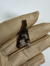 Tranche de météorite Sericho Pallasite 2,7 g