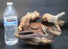 manzanita burl wood  D220 8" x 8" x 6"