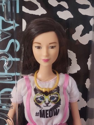 barbie fashionista kitty dress Year 2017 Barbie Fashionistas Series 10 Inch Doll #97