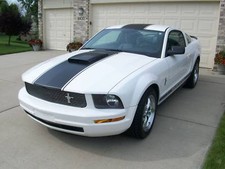 20 Racing Stripe Stripes Decals Fit Any Ford Mustang Saleen Gt Cobra 5.0 20 Racing Stripe Stripes Decals Fit Any Ford Mustang Saleen Gt Cobra 5.0