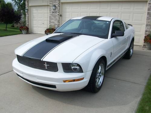 20" Racing stripe stripes Decals fit ANY Ford Mustang Saleen GT cobra 5.0 Photo - $70