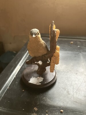 The Country Bird Collection - Weidensänger