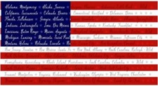24" X 44" Panel American Flag States Capitals USA Cotton Fabric D306.56