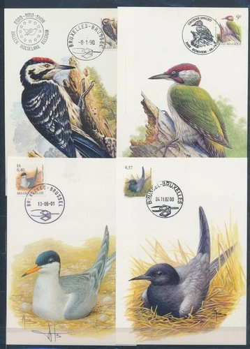 XE60224 Belgium 1990 -2002 animals fauna flora birds maxicards used