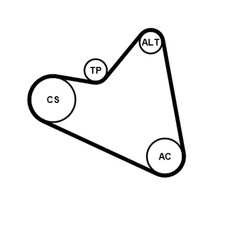 CONTINENTAL CTAM Keilrippenriemensatz 6PK1090 ELAST K1 für PEUGEOT 207 307 SW 3H