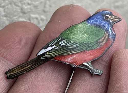Rare Passerin Bird Enamel Brooch on Copper - Picture 3 of 4