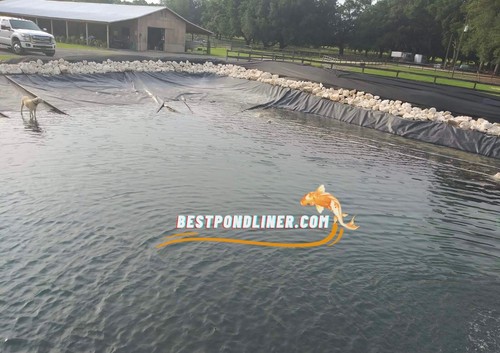 Fodera per laghetto impermeabile resistente 12x25 per acquacoltura e uso terreni agricoli durevole. - Foto 4 di 23