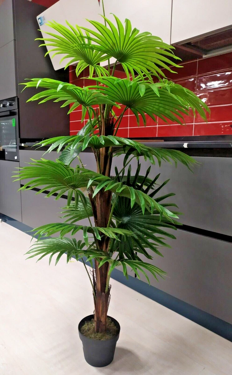 Palma Artificiale 160 Cm Per Interni/Esterni: Finta Pianta Con 12 Foglie Realistiche In Vaso - 4