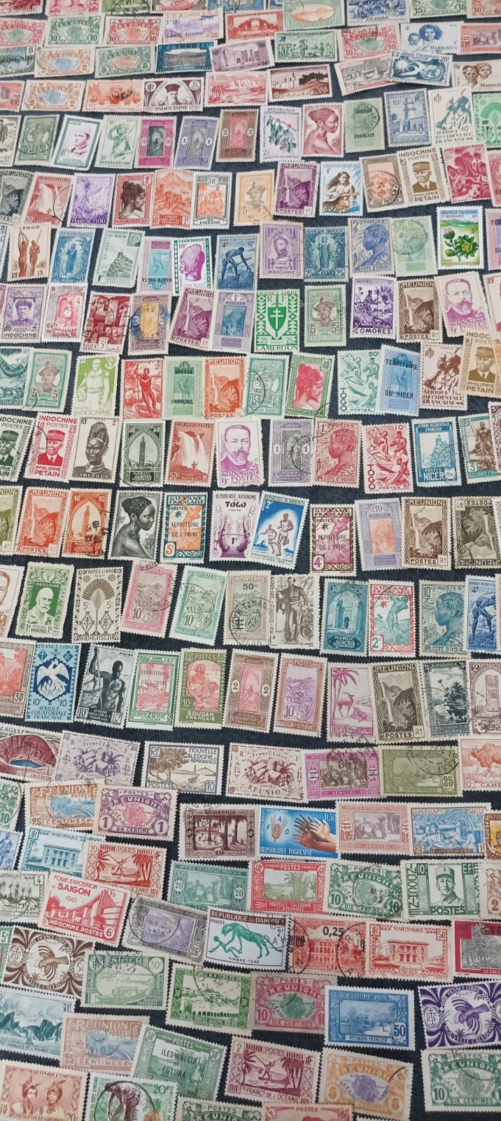 Foto 10 di 24
