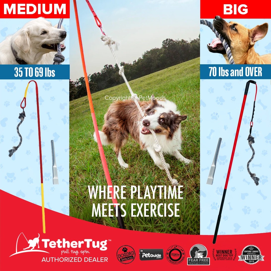Tether Tug V2 Outdoor Dog Interactive Toy Tugging Pull Exercise 35