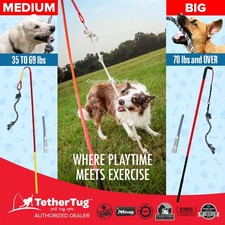Tether Tug V2 Outdoor Dog Interactive Toy Tugging Pull Exercise 35-70 lbs and Up