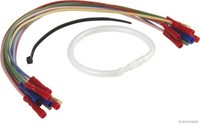 Herth+Buss Elparts Kabelreparatursatz Heckklappe 51277064 FüR Focus Ford 1 DAW